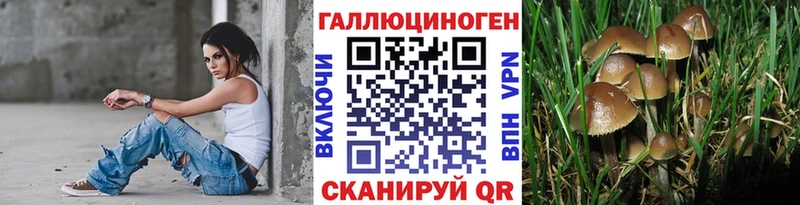 закладки  blacksprut онион  Галлюциногенные грибы мицелий  Старая Купавна 